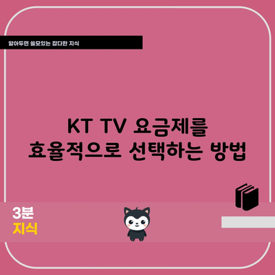 KT TV 요금제를 효율적으로 선택하는 방법