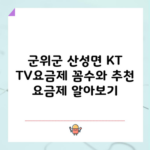 군위군 산성면 KT TV요금제 꼼수와 추천 요금제 알아보기