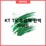 KT TV 요금제 완벽 가이드