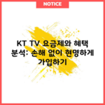 KT TV 요금제와 혜택 분석: 손해 없이 현명하게 가입하기