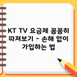 KT TV 요금제 꼼꼼히 따져보기 – 손해 없이 가입하는 법