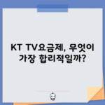 KT TV요금제, 무엇이 가장 합리적일까?