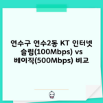 연수구 연수2동 KT 인터넷 슬림(100Mbps) vs 베이직(500Mbps) 비교