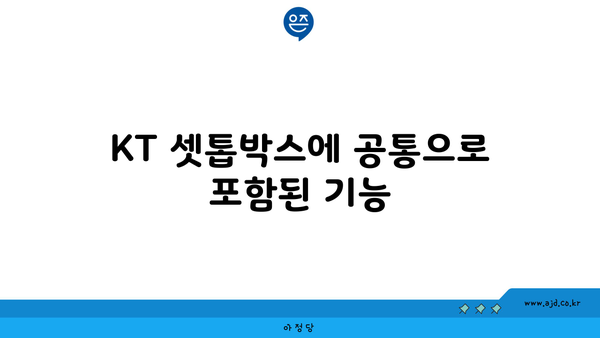 KT 셋톱박스에 공통으로 포함된 기능