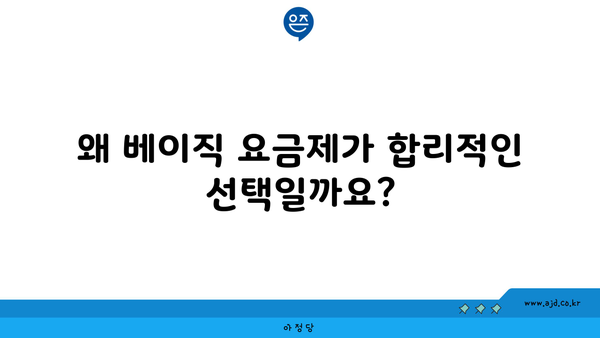 왜 베이직 요금제가 합리적인 선택일까요?