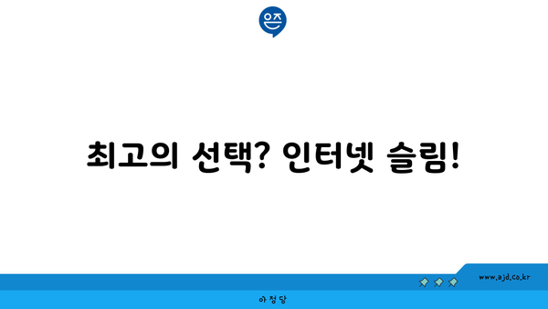 최고의 선택? 인터넷 슬림!