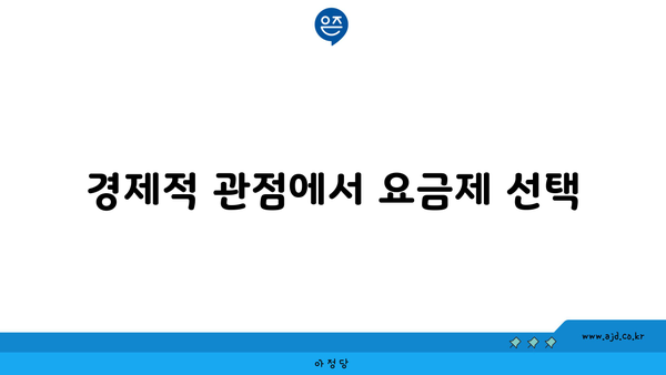 경제적 관점에서 요금제 선택