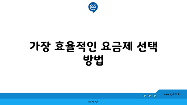 가장 효율적인 요금제 선택 방법