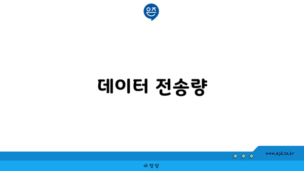 데이터 전송량