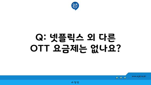 Q: 넷플릭스 외 다른 OTT 요금제는 없나요?