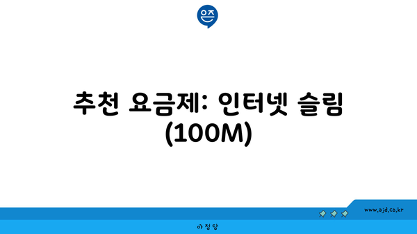 추천 요금제: 인터넷 슬림 (100M)