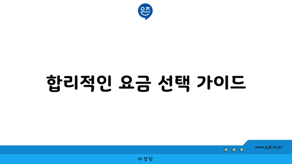 합리적인 요금 선택 가이드