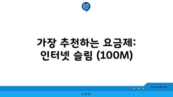 가장 추천하는 요금제: 인터넷 슬림 (100M)