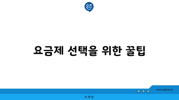 요금제 선택을 위한 꿀팁