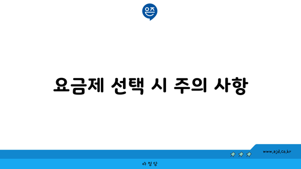 요금제 선택 시 주의 사항