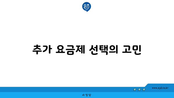 추가 요금제 선택의 고민