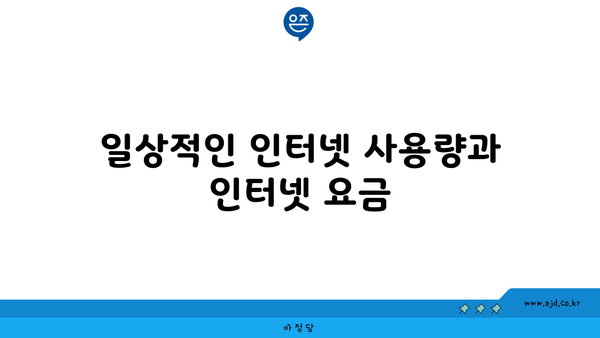 일상적인 인터넷 사용량과 인터넷 요금