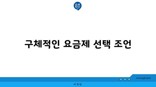 구체적인 요금제 선택 조언