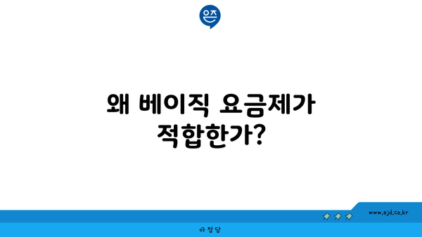 왜 베이직 요금제가 적합한가?