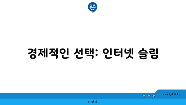 경제적인 선택: 인터넷 슬림