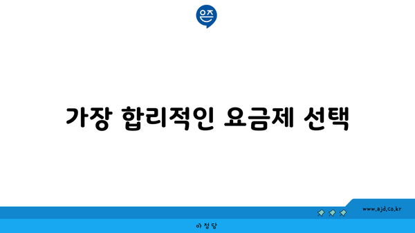 가장 합리적인 요금제 선택