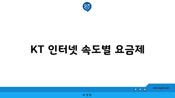 KT 인터넷 속도별 요금제