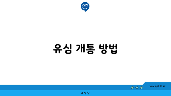 유심 개통 방법