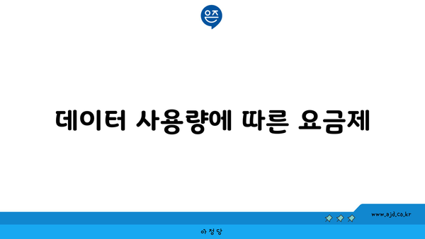 데이터 사용량에 따른 요금제