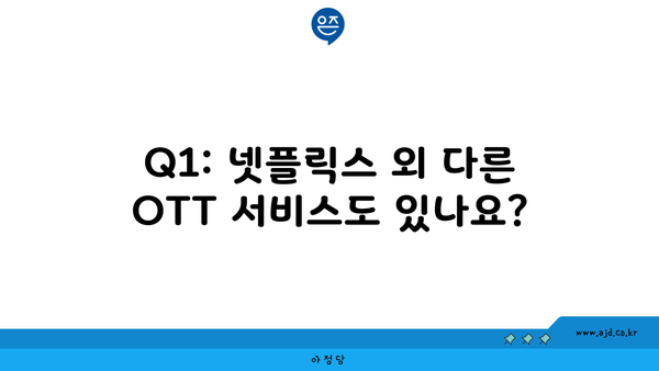 Q1: 넷플릭스 외 다른 OTT 서비스도 있나요?